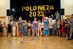 poloneza (15)