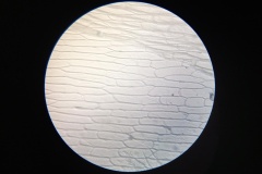 PrS6_mikrosvet-2