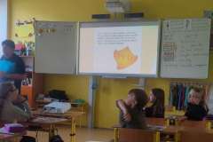 4A_Husi-stopy-7