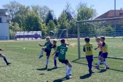 Fotbal-DS-7