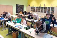Pr6_pavouci-4