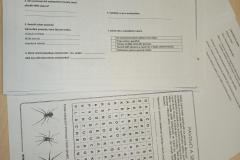 Pr6_pavouci-7